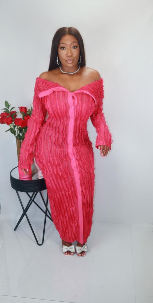 Ryla Maxi Dress image 0