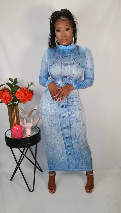 Zarin Maxi Dress image 1